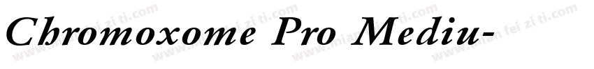 Chromoxome Pro Mediu字体转换